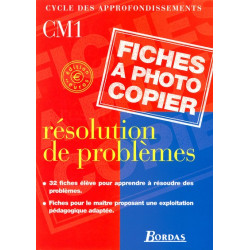 RESOLUTION DE PROBLEMES CM1...