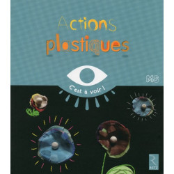 ACTIONS PLASTIQUES MS