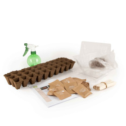 Coffret legumes bio